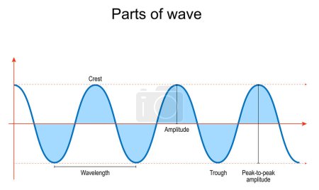 Teile der Welle. Grundkomponenten und Eigenschaften von Wellen in Physik, Optik und Schall. Vektorillustration