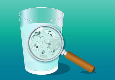 Illustration for A glass of water and magnifying glass. Close-up of water microbe. Microbial contamination. Waterborne pathogens. Drinking water quality and safety before chlorination and filtration. Realistic vector illustration - Royalty Free Image