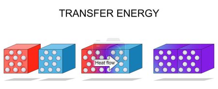 Energietransfer. Gesetz der Thermodynamik. Eine molekulare Sicht der Energieübertragung zwischen heißen und kalten Würfeln. Vektorillustration