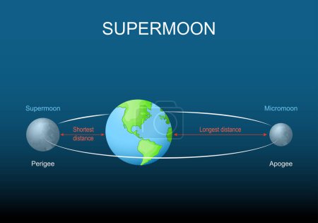  Supermoon, micromoon, apogee, perigee. Lunar cycle. Moon elliptical orbit. Isometric flat vector Illustration