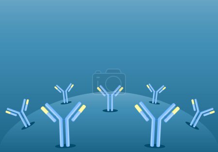 Illustration for Antibody. Immunoglobulin IgE or IgG. Humoral immunity. Each antibody binds to a specific antigen. Isometric flat vector Illustration - Royalty Free Image