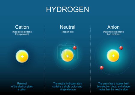 Illustration for Anion, Cation and Neutral atoms of Hydrogen. After removal of the electron gives a cation. The anion has a loosely held electrons cloud, and a larger radius than the neutral atom. The neutral hydrogen atom contains a single proton and  single electro - Royalty Free Image