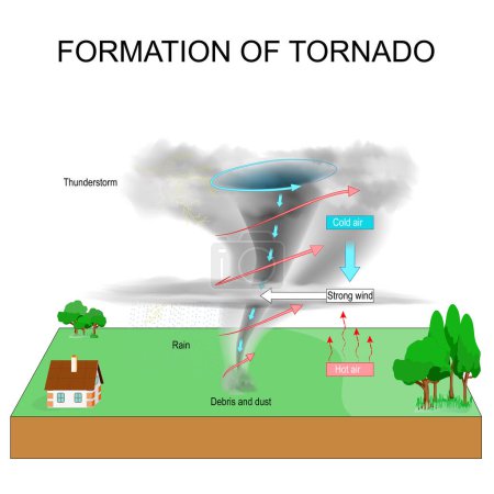 Formación de tornados. Clima severo. Tornadogénesis. Tormenta eléctrica. Ilustración vectorial