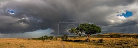 Straße durch die Savanne im Masai Mara Nationalreservat. Maasai Mara, manchmal auch Masai Mara geschrieben und lokal einfach als The Mara bekannt, ist ein großes nationales Wildreservat in Narok, Kenia, Afrika