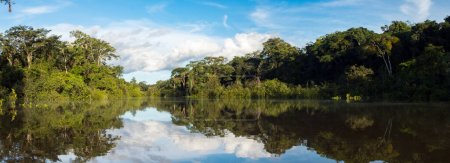 Foto de Vista panorámica de la laguna de Coati cerca del río Javari, el afluente del río Amazonas, Amazonia. Selva en la frontera de Brasil y Perú. América del Sur. - Imagen libre de derechos