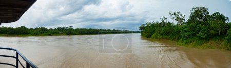 Foto de Vista del río Amazonas desde el barco de carga. Selva en la orilla del río Amazonas, verde infierno de la Amazonía. América del Sur. - Imagen libre de derechos