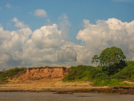 Photo for High bank of the Amazon river during the low water season. Amazonia. Brazil. South America. - Royalty Free Image