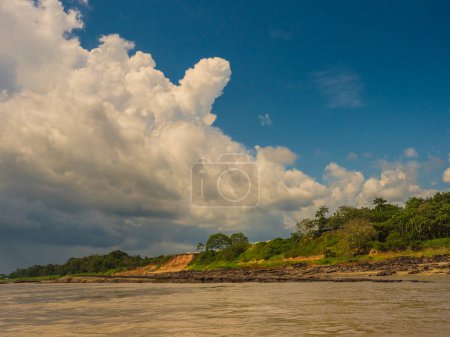Photo for High bank of the Amazon river during the low water season. Amazonia. Brazil. South America. - Royalty Free Image
