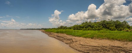 Téléchargez les photos : Rive de l'Amazone pendant la basse saison des eaux. Vue panoramique depuis le pont d'un cargo Amazonie. Pérou. Amérique du Sud. - en image libre de droit