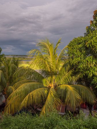 Téléchargez les photos : Coucher de soleil. Vue d'une rivière Itaya dans le quartier pauvre d'Iquitos, Lorette, Pérou. Amazon - en image libre de droit