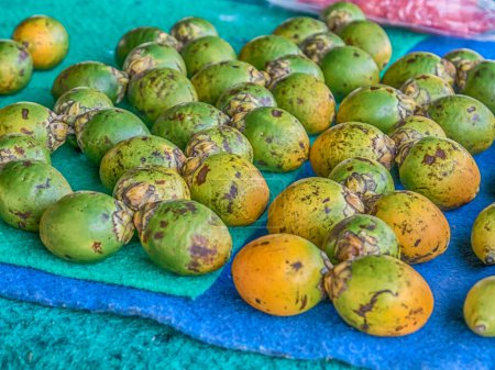 Photo for Fruits  (the name of the fruit is Bethel) on a  stall. Used as a stimulant in Indonesia. Asia. - Royalty Free Image