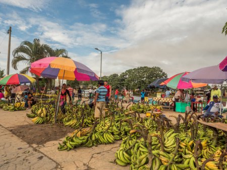 Foto de Leticia, Colombia - 24 de marzo de 2018: Gran cantidad de diferentes tipos de bananas locales en el bazar en el río Amazonas. América Latina. - Imagen libre de derechos
