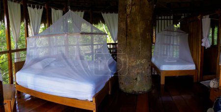 Téléchargez les photos : Nauta, Pérou - Apr, 2022 : Glamping accommodation in the Amazon rainforest. Maison des arbres en bois, forêt amazonienne, Amazonie, réserve nationale de Pacaya Samiria, Amérique du Sud. - en image libre de droit