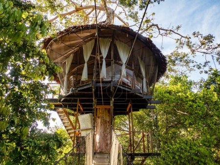 Alojamiento glamping en la selva amazónica. Casa del árbol de madera, selva amazónica, Amazonía, Reserva Nacional Pacaya Samiria, Perú, América del Sur.