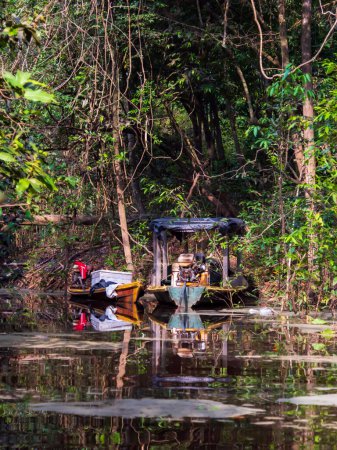 Photo for Javari Valley, Amazonia - Dec, 2022: Wooden boats of fishermen in the bank of Christina lagoon in the Amazon jungle. Selwa on the border of Brazil and Peru. Valle del Yavari, South America - Royalty Free Image