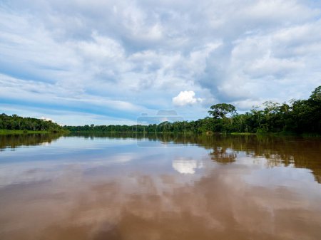 Foto de Amazonia - pared de bosque tropical verde de la selva amazónica, infierno verde de la Amazonía. Selva en la frontera de Brasil y Perú. Río Yavari en Valle Javari (Valle del Yavar) América del Sur. - Imagen libre de derechos
