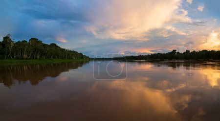 Amazonie - mur de forêt tropicale verte de la jungle amazonienne, enfer vert de l'Amazonie. Selva à la frontière du Brésil et du Pérou. Rivière Yavari dans la vallée de Javari (Valle del Yavar) Amérique du Sud.