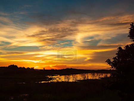 Foto de Magic sunset with beautiful clouds over the rainforest of Amazon river. Amazonia. Latin America. - Imagen libre de derechos