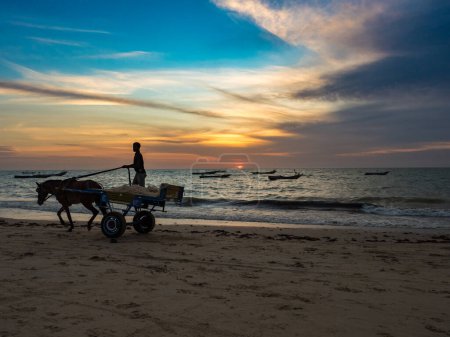 Téléchargez les photos : Nianing, Sénégal - 24 janvier 2019 : Un garçon sénégalais monte sur une charrette avec un cheval blanc sur la plage, une voie de transport populaire en Afrique - en image libre de droit