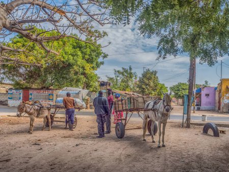 Téléchargez les photos : Nianing, Sénégal - 24 janvier 2019 : Chariot à cheval et chariot à âne sur la route locale senegalaise. C'est un moyen de transport populaire en Afrique - en image libre de droit