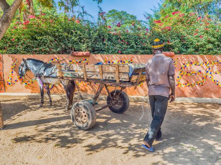 Téléchargez les photos : Nianing, Sénégal - 24 janvier 2019 : Chariot avec cheval blanc en attente sur la route locale senegalaise, une voie de transport populaire en Afrique - en image libre de droit