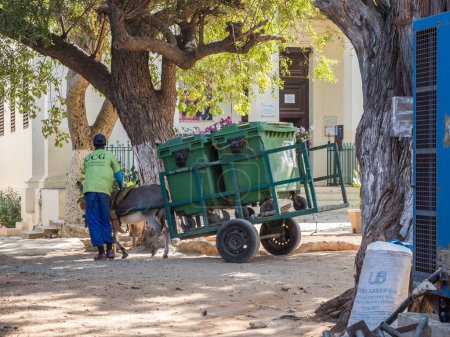 Photo for Goree, Senegal - January 24, 2019: Cart with donkey used for transportation garbage on the Goree island. It is a popular transportation way in Africa - Royalty Free Image