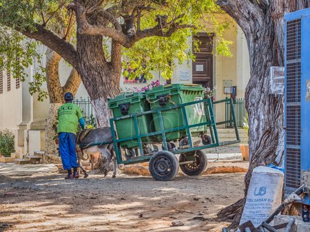 Téléchargez les photos : Goree, Sénégal - 24 janvier 2019 : Chariot avec âne utilisé pour le transport des ordures sur l'île de Goree. C'est un moyen de transport populaire en Afrique - en image libre de droit