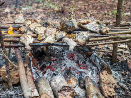 Photo for Lagoon, Brazil - March 20, 2018: Grilling fish and bananas on the fireplece on the camp in the amazons jungle - Royalty Free Image