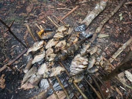 Photo for Lagoon, Brazil - March 20, 2018: Grilling fish and bananas on the fireplece on the camp in the amazons jungle - Royalty Free Image