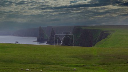 Téléchargez les photos : Duncansby Head est la pointe nord-est de l'Écosse, près du village de John o Groats. Duncansby Head est particulièrement spectaculaire en raison des aiguilles rocheuses, appelées Duncansby Stacks. - en image libre de droit