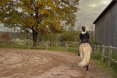 Téléchargez les photos : Light brown Haflinger with beige mane and rider training on a riding ground in Bavaria - en image libre de droit