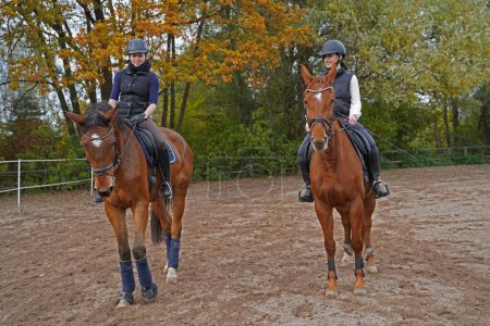Foto de Shooting with horses  - Oldenburg mare and Rhinelander gelding  - and riders in autumn in bavaria - Imagen libre de derechos