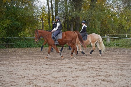 Téléchargez les photos : Shooting with horses  - Oldenburg mare  and Rhinelander gelding  - and riders,Haflinger in autumn in bavaria - en image libre de droit