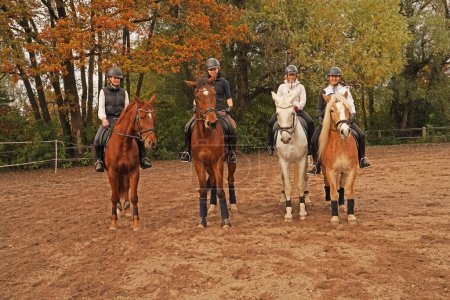 Foto de Shooting with horses  - Oldenburg mare , white horse, Haflinger and Rhinelander gelding  - and riders in autumn in bavaria - Imagen libre de derechos