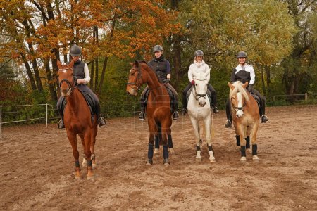 Foto de Shooting with horses  - Oldenburg mare , white horse, Haflinger and Rhinelander gelding  - and riders in autumn in bavaria - Imagen libre de derechos