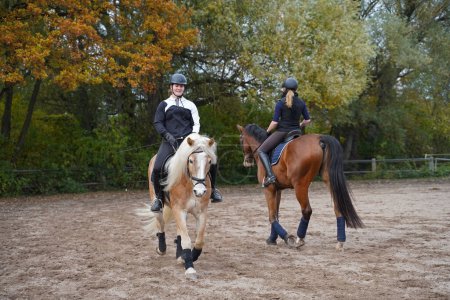 Téléchargez les photos : Shooting with horses  - Haflinger and Rhinelander - and riders in autumn in bavaria - en image libre de droit