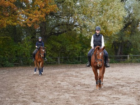 Foto de Shooting with horses  - Oldenburg mare, Rhinelander gelding and white horse - and riders in autumn in bavaria - Imagen libre de derechos
