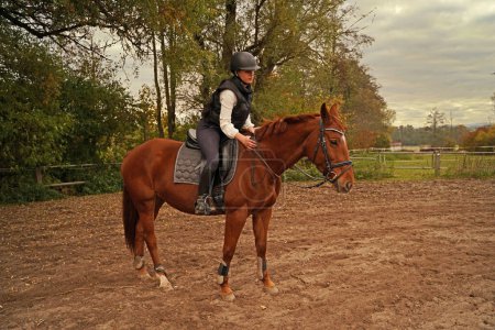 Téléchargez les photos : Training with the red-brown Oldenburg mare on a riding arena in autumn - en image libre de droit