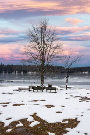 Téléchargez les photos : Paysage hivernal avec neige et arbres au bord du lac. - en image libre de droit