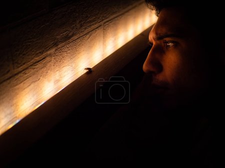 Photo for A young man observing a bed bug on a piece of furniture - Royalty Free Image