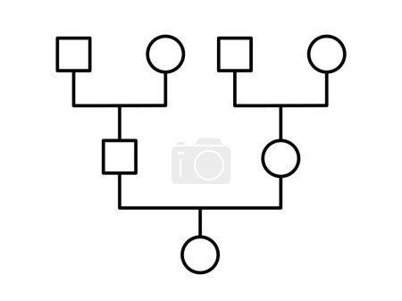 Genograma. Árbol genealógico. Diagrama simple mostrando a los miembros de la familia. Estructura del árbol de genealogía. Puede ser utilizado para la investigación del patrimonio ancestral, historia médica, constelación sistemática. Ilustración vectorial 