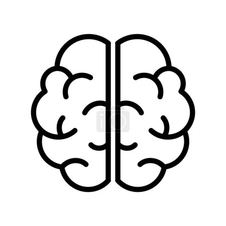 Illustration for Brain top view line icon. Two hemispheres of the brain. Left and right side of cortex. Cerebrum outline symbol. Human mind sign. Creative thinking concept. Mental health issues. Vector illustration. - Royalty Free Image