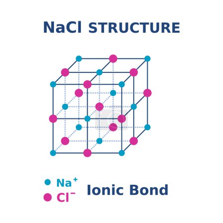 Illustration for NaCl structure. Sodium chloride molecule. Salt crystal structure. Ionic bond in 3D form. Chemistry education. Lattices and Unit Cells of Salt. Cube shape of sodium chloride ions. Vector illustration. - Royalty Free Image