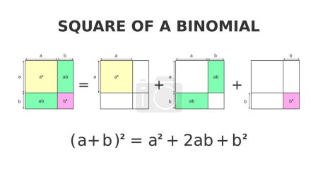 Quadrat eines Binomials. Die Geometrie des Binomialtheorems. Farbenfroher visueller Beweis. In der Algebra beschreibt die binomische Expansion die algebraische Expansion der Kräfte eines binomischen. Vektorillustration.