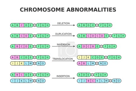 Illustration for Chromosomal abnormalities. Deletion, duplication, inversion, translocation, insertion. Chromosome structure aberrations, mutations. Medical science diagram. Genetics and DNA. Vector illustration. - Royalty Free Image