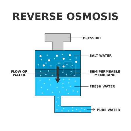 Ósmosis inversa. Proceso de purificación del agua que utiliza una membrana semipermeable para separar las moléculas de agua de otras sustancias. Proceso de desalinización. Las moléculas de agua pasan. Ilustración vectorial