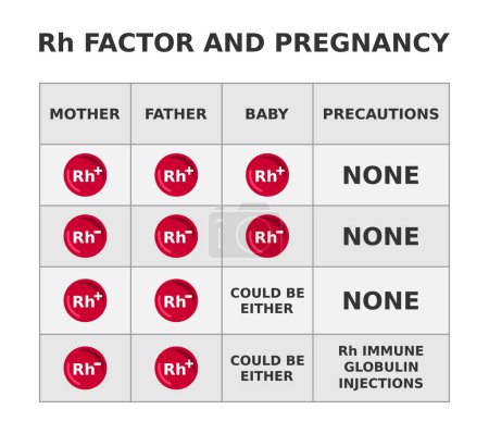 Rh-Faktor und Schwangerschaft. Rhesusfaktor-Inkompatibilität, wenn die Mutter Rh negativ und der Fötus Rh positiv ist. Tabelle mit möglichen Blutgruppenkombinationen der Eltern. Geburt. Vektorillustration.
