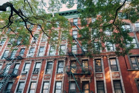 Téléchargez les photos : Façade d'un immeuble typique de New York avec sortie de secours à l'avant, arbre devant. - en image libre de droit
