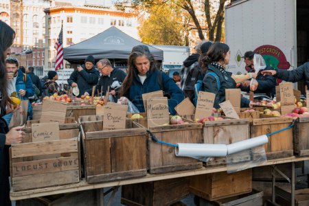 Téléchargez les photos : 23 novembre 2022 - New York, États-Unis : Les clients achètent des pommes à Grow NYC Union Square Greenmarket, un marché fermier ouvert toute l'année avec divers producteurs d'aliments de ferme et de petits lots. - en image libre de droit