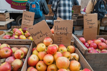 Téléchargez les photos : 23 novembre 2022 - New York, États-Unis : Des pommes croustillantes au miel en vente au Grow NYC Union Square Greenmarket, un marché fermier ouvert toute l'année avec divers producteurs d'aliments de ferme et de petits lots. - en image libre de droit
